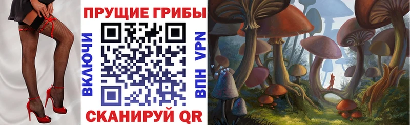 цена наркотик  Каспийск  кракен онион  Псилоцибиновые грибы Psilocybe 