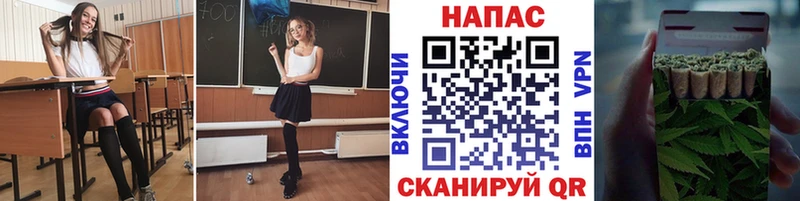 Бошки Шишки тримм  Каспийск 